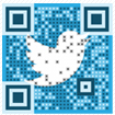QR Code mit Logo Muster 2